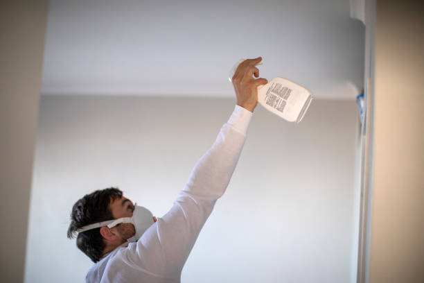 Best Mold Cleaning Services  in Bonadelle Ranchos, CA