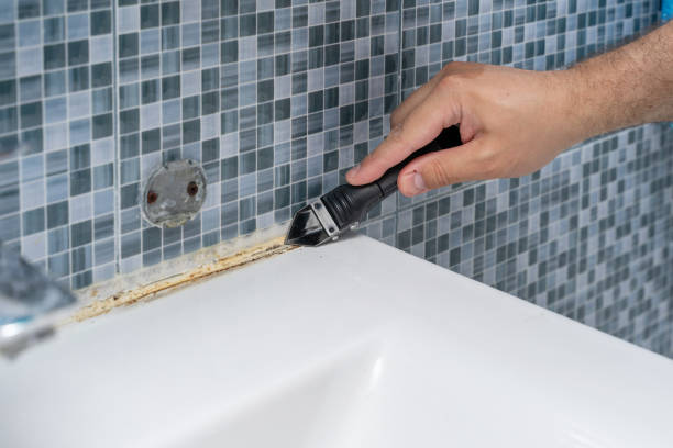 Best Mold Removal Company Near Me  in Bonadelle Ranchos, CA